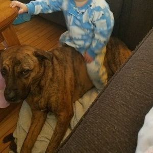 Meet your Posher, Miranda